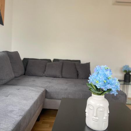 Luxury Apartment With Air Conditioning & Jaccuzzi Near Frankfurt Wiesbaden Hofheim am Taunus Extérieur photo