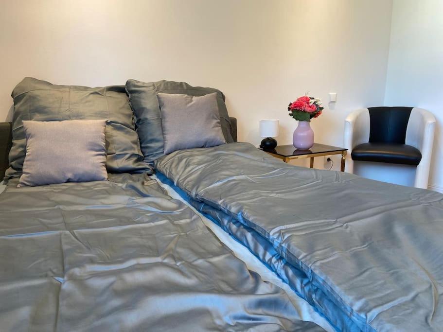 Luxury Apartment With Air Conditioning & Jaccuzzi Near Frankfurt Wiesbaden Hofheim am Taunus Extérieur photo