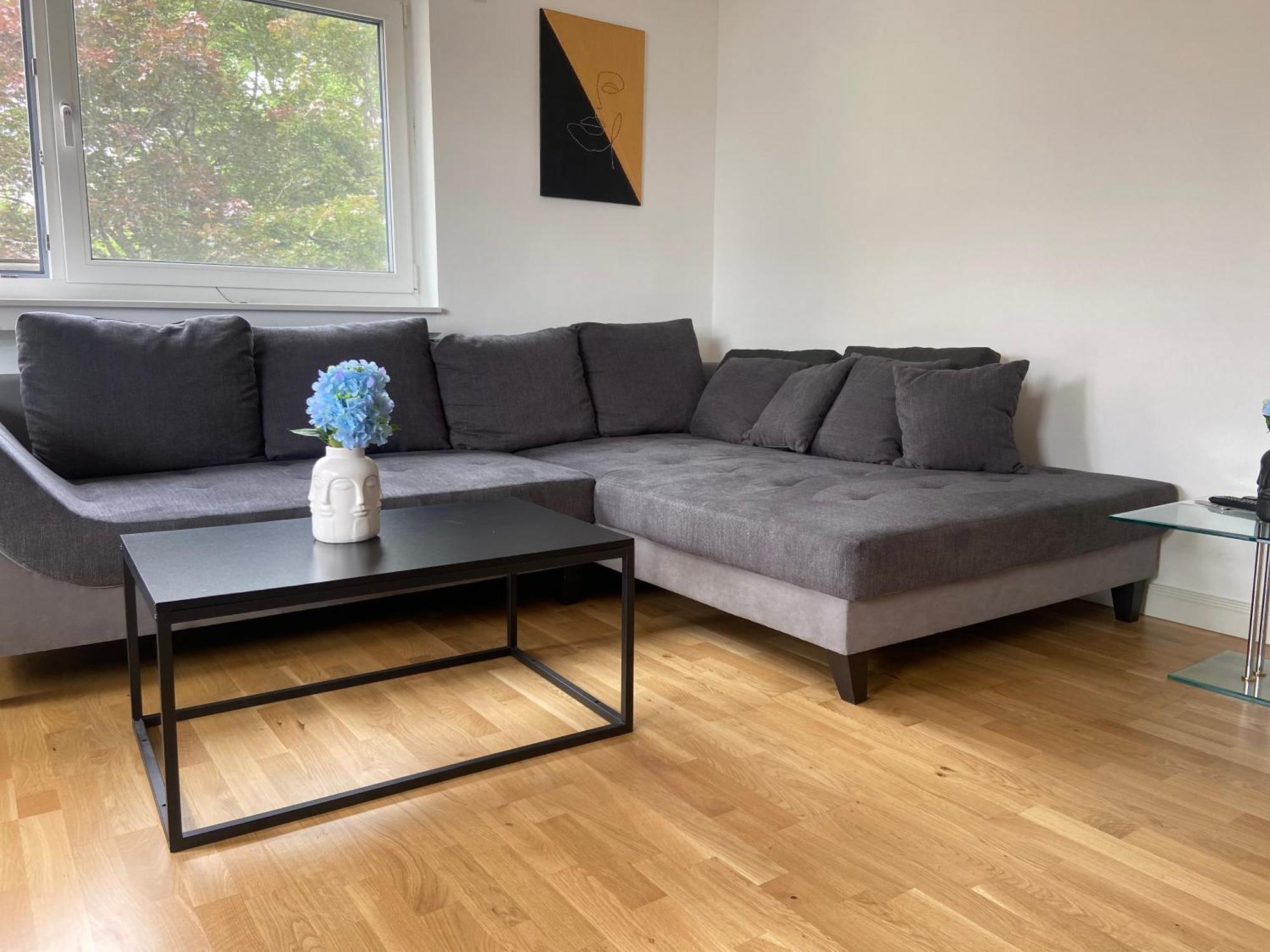 Luxury Apartment With Air Conditioning & Jaccuzzi Near Frankfurt Wiesbaden Hofheim am Taunus Extérieur photo